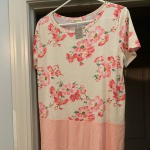 🌸NEW with tag. Boutique top. Cream and pink. Lrg